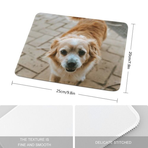 yanfind The Mouse Pad Walkway Pet Strap Pavement Pictures Floor Stock Spaniel Flagstone Cocker Free Pattern Design Stitched Edges Suitable for home office game