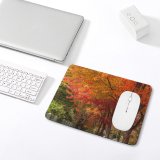 yanfind The Mouse Pad Walkway Plant Automne Pavement Pictures Outdoors Stock Tree Free Sidewalk Street Pattern Design Stitched Edges Suitable for home office game