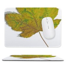 yanfind The Mouse Pad Maple Autumn Woody Leaves Maple Plant Fall Plane Flower Flowering Leaf Leaf Pattern Design Stitched Edges Suitable for home office game