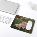 yanfind The Mouse Pad Abies Tree Pine Plant Fir Larch Leaf Free Spruce Yew Forest Pattern Design Stitched Edges Suitable for home office game