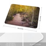 yanfind The Mouse Pad Collins Aspen Trees Pathway Forest Rocks Trails Beautiful Pattern Design Stitched Edges Suitable for home office game