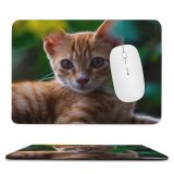 yanfind The Mouse Pad Funny Curiosity Cute Cat Baby Little Eye Staring Tabby Pet Whisker Downy Pattern Design Stitched Edges Suitable for home office game