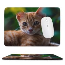 yanfind The Mouse Pad Funny Curiosity Cute Cat Baby Little Eye Staring Tabby Pet Whisker Downy Pattern Design Stitched Edges Suitable for home office game