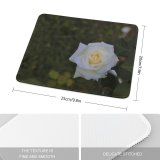 yanfind The Mouse Pad Wallpapers Flower Rose Ankara Plant Blossom Grey Domain Images Türkiye Public Pattern Design Stitched Edges Suitable for home office game