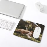 yanfind The Mouse Pad Plant Closed Eyes Tree Kitty Grass Relax Pet Grassy Outdoors Quiet Sleeping Pattern Design Stitched Edges Suitable for home office game