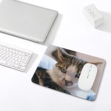 yanfind The Mouse Pad Young Kitty Pet Kitten Portrait Tabby Whiskers Curiosity Cute Little Adorable Cat Pattern Design Stitched Edges Suitable for home office game