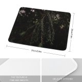yanfind The Mouse Pad Abies Plant Pictures Outdoors Grey Tree Fir Free York Yew Uk Pattern Design Stitched Edges Suitable for home office game