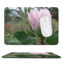 yanfind The Mouse Pad Bud Plant Plant Flower Outdoor Flowering Protea Botany Bud Leaf Garden Spring Pattern Design Stitched Edges Suitable for home office game