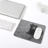 yanfind The Mouse Pad Dog Wildlife Free Wallpapers Helios Bw Images Pictures Bear Pet Grey Pattern Design Stitched Edges Suitable for home office game