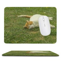 yanfind The Mouse Pad Young Kitty Grass Pet Outdoors Kitten Portrait Whiskers Lawn Field Cute Little Pattern Design Stitched Edges Suitable for home office game