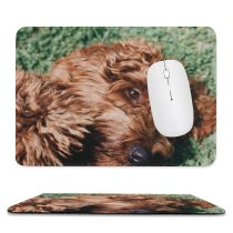 yanfind The Mouse Pad Dog Pet Free Pictures Spaniel Images Cocker Pattern Design Stitched Edges Suitable for home office game