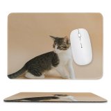 yanfind The Mouse Pad Young Grey Pet Side Kitten Portrait Curiosity Cute Little Sit Cat Eye Pattern Design Stitched Edges Suitable for home office game