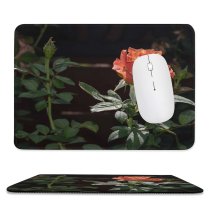yanfind The Mouse Pad Free Flower Vegetation Petal Rose Plant Blossom Acanthaceae Images Bush Pattern Design Stitched Edges Suitable for home office game