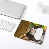 yanfind The Mouse Pad Pet Funny Outdoors Kitten Portrait Wildlife Curiosity Cute Furry Face Eye Whisker Pattern Design Stitched Edges Suitable for home office game