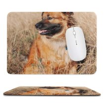 yanfind The Mouse Pad Dog German Pet Pictures PNG Images Pattern Design Stitched Edges Suitable for home office game