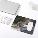 yanfind The Mouse Pad Funny Curiosity Outdoors Focus Little Young Blur Pretty Staring Pattern Design Stitched Edges Suitable for home office game