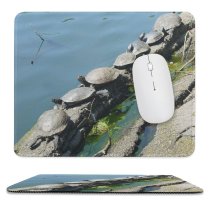 yanfind The Mouse Pad Turtles Rock Bank Resources Botany Reflection Watercourse Pond Tree Waterway Pattern Design Stitched Edges Suitable for home office game