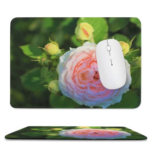 yanfind The Mouse Pad Free Flower Petal Rose Stock Geranium Plant Blossom Konya Images Türkiye Pattern Design Stitched Edges Suitable for home office game
