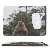 yanfind The Mouse Pad Ape Fly Apparel Orangutan Railing Eating Adventure Elephant Images Pants Commons Creative Pattern Design Stitched Edges Suitable for home office game