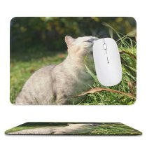 yanfind The Mouse Pad Young Grass Pet Funny Outdoors Portrait Dog Cute Little Adorable Sit Cat Pattern Design Stitched Edges Suitable for home office game