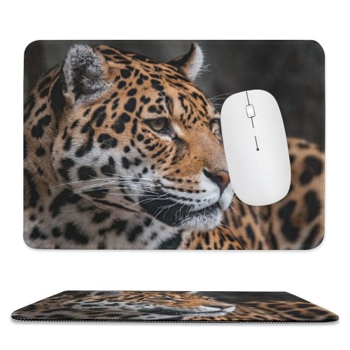 yanfind The Mouse Pad Mike Van Den Bos Leopard Wildlife Jaguar Closeup ARTIS Amsterdam Netherlands Pattern Design Stitched Edges Suitable for home office game