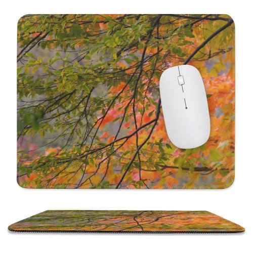 yanfind The Mouse Pad Maples Pentax Fall Branches Woody D Branch Vegetation Maple Plant Branch Desktop Pattern Design Stitched Edges Suitable for home office game