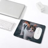 yanfind The Mouse Pad Funny Curiosity Outdoors Cute Baby Young Little Eye Kitten Whisker Fur Portrait Pattern Design Stitched Edges Suitable for home office game