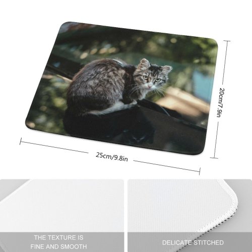 yanfind The Mouse Pad Plant Blurred Daylight Harmony Eyes Tree Alone Pet Homeless Outdoors City Street Pattern Design Stitched Edges Suitable for home office game