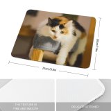 yanfind The Mouse Pad Young Kitty Pet Friendship Funny Kitten Portrait Tabby Whiskers Curiosity Cute Focus Pattern Design Stitched Edges Suitable for home office game