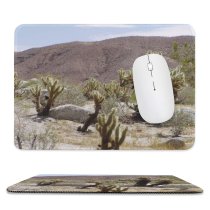 yanfind The Mouse Pad California Flower Tree Cactus Plant Landscape Desert Cactus Cholla Botany Shrubland Spring Pattern Design Stitched Edges Suitable for home office game