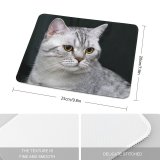 yanfind The Mouse Pad Young Grey Pet Funny Kitten Portrait Tabby Cute Eye Whisker Downy Fur Pattern Design Stitched Edges Suitable for home office game