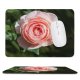 yanfind The Mouse Pad Free Pictures Flower Petal Rose Plant Blossom Images Pattern Design Stitched Edges Suitable for home office game