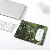 yanfind The Mouse Pad Abies Plant Pictures PNG Grey Tree Fir Succulent Bokeh Yew Conifer Pattern Design Stitched Edges Suitable for home office game