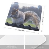 yanfind The Mouse Pad Central Tail Park Ground Fox Squirrel York Whiskers Wildlife Squirrels Snout Grey Pattern Design Stitched Edges Suitable for home office game