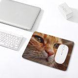 yanfind The Mouse Pad Young Kitty Pet Kitten Portrait Tabby Whiskers Cute Blur Adorable Staring Face Pattern Design Stitched Edges Suitable for home office game