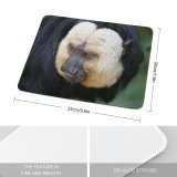 yanfind The Mouse Pad Dog Wildlife Free Monkey Wild Wallpapers Faced Primate Baboon Images Pictures Pattern Design Stitched Edges Suitable for home office game