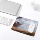 yanfind The Mouse Pad Pet Outdoors Kitten Portrait Tabby Whiskers Cute Love Little Adorable Furry Sleep Pattern Design Stitched Edges Suitable for home office game