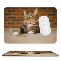 yanfind The Mouse Pad Funny Curiosity Sit Cute Little Young Pretty Eye Staring Kitten Whisker Fur Pattern Design Stitched Edges Suitable for home office game