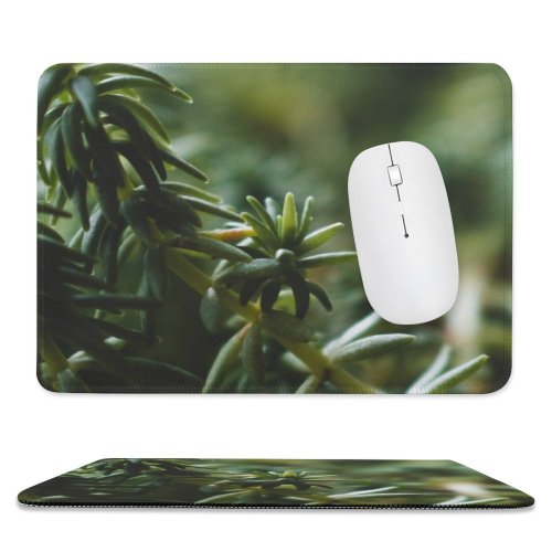 yanfind The Mouse Pad Abies Plant Pictures PNG Grey Tree Fir Succulent Bokeh Yew Conifer Pattern Design Stitched Edges Suitable for home office game
