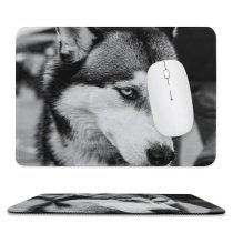 yanfind The Mouse Pad Doglife Stare Pet Königsplatz Raphi Augsburg Pictures Grey Raphirawr Free Glance Pattern Design Stitched Edges Suitable for home office game
