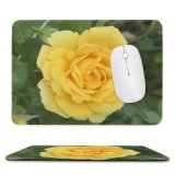 yanfind The Mouse Pad Wallpapers Flower Petal Rose Plant Blossom Domain Images Public Pattern Design Stitched Edges Suitable for home office game