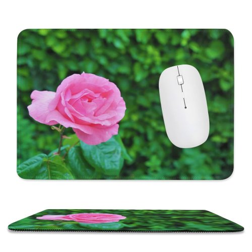yanfind The Mouse Pad Wallpapers Flower Rose Ankara Magenta Plant Blossom Creative Images Türkiye Commons Pattern Design Stitched Edges Suitable for home office game