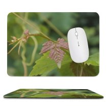 yanfind The Mouse Pad Vine Leaf Grape Grapes Leaves Wine Flower Plant Flowering Botany Nettle Family Pattern Design Stitched Edges Suitable for home office game