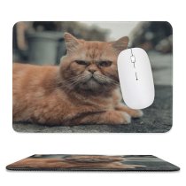 yanfind The Mouse Pad Pet Funny Kitten Portrait Curiosity Cute Little Adorable Sit Sleep Cat Eye Pattern Design Stitched Edges Suitable for home office game