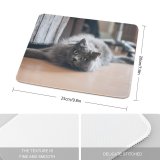 yanfind The Mouse Pad Funny Curiosity Sit Cute Baby Young Eye Family Kitten Whisker Fur Portrait Pattern Design Stitched Edges Suitable for home office game