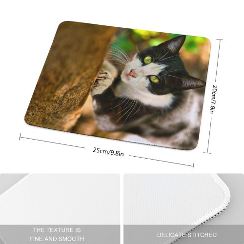 yanfind The Mouse Pad Pet Funny Outdoors Kitten Portrait Wildlife Curiosity Cute Furry Face Eye Whisker Pattern Design Stitched Edges Suitable for home office game
