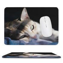 yanfind The Mouse Pad Funny Curiosity Cute Sleep Little Young Eye Studio Siamese Kitten Whisker Fur Pattern Design Stitched Edges Suitable for home office game