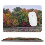 yanfind The Mouse Pad Abies Rouge Beach Plant Pictures Outdoors Tree Fir Free Canada Maple Pattern Design Stitched Edges Suitable for home office game