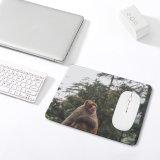 yanfind The Mouse Pad Ape Fly Apparel Orangutan Railing Eating Adventure Elephant Images Pants Commons Creative Pattern Design Stitched Edges Suitable for home office game