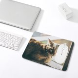 yanfind The Mouse Pad Funny Curiosity Cute Sleep Cat Baby Eye Family Kitten Pet Whisker Fur Pattern Design Stitched Edges Suitable for home office game